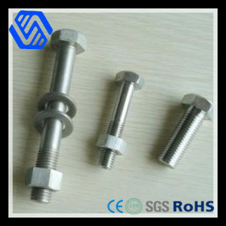 Stainless Steel High Strength Bolt with Nuts and Washers