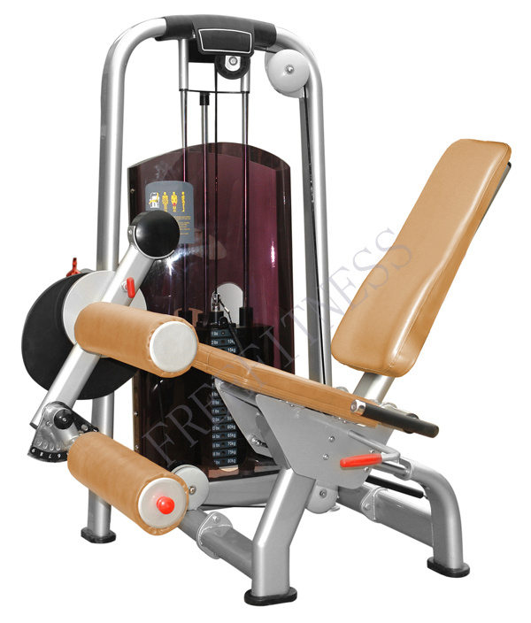 Fitness Equipment (F6813)
