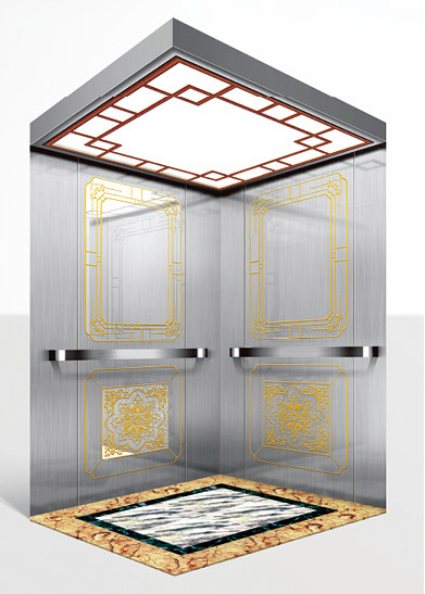 Nice Resident Elevator, Passenger Elevator