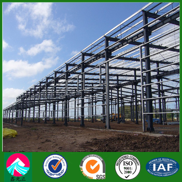 Preengineered Prefab Light Steel Frame Workshop Building (XGZ-SSB010)