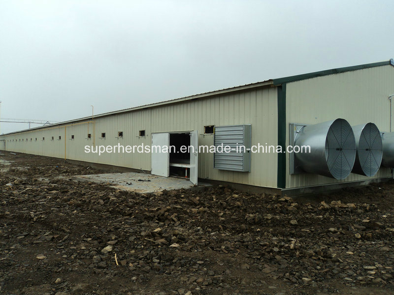 Light Steel Structure Poultry House