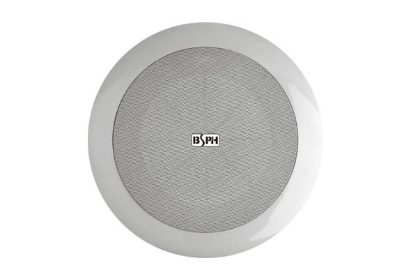 Ceiling Speaker