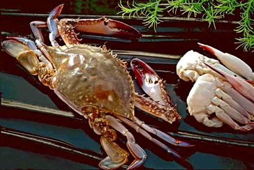 Crab