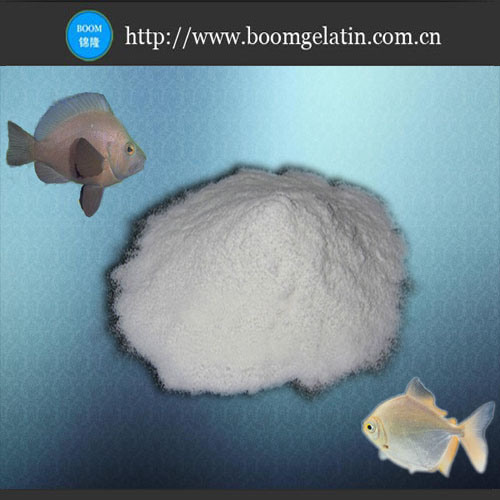Good Quality Fish Collagen as Food Additives and Cosmetics