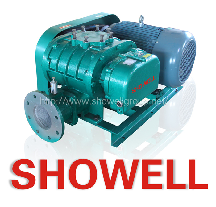 PTFE Anti Corrosion Biogas Rotary Type Blower (Roots BLOWER)