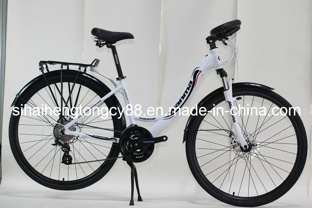 Europe Model Mountain Bicycle with Alloy Parts MTB-028