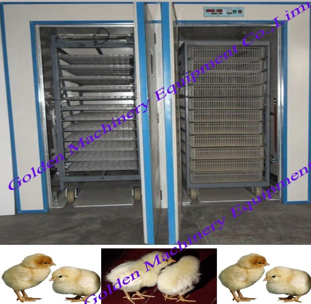 Automatic Egg Incubation Duck, Goose, Ostrich Quail Chicken Egg Incubator