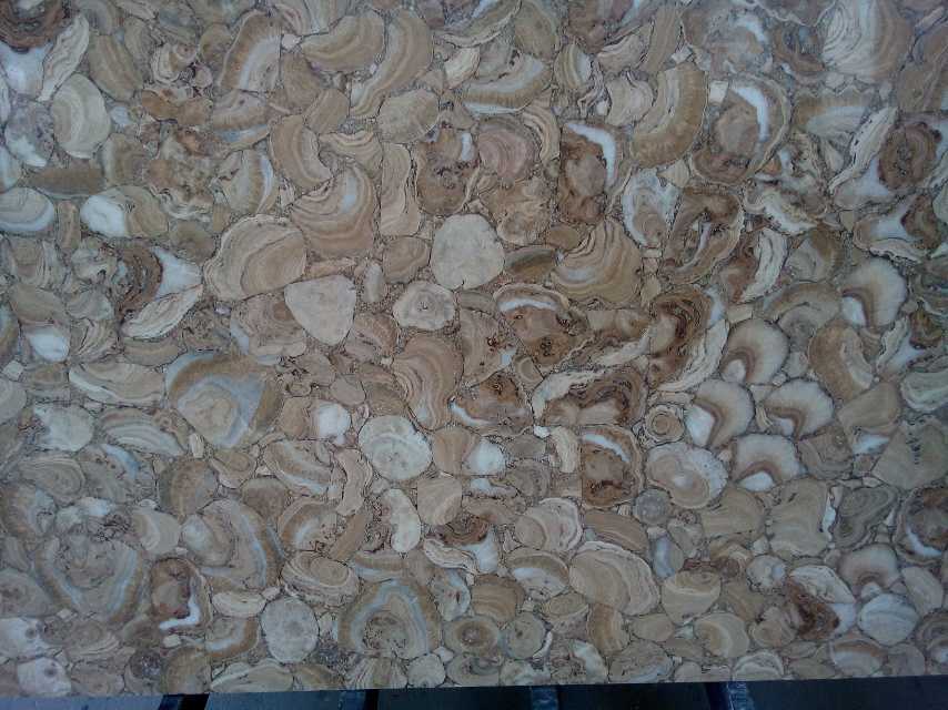 Nature Petrify Wood Mosaic Slabs Countertops Wall Decoration
