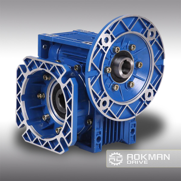 Qualified RV Series Worm Gearbox Combination