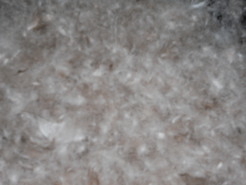 Goose Down Washed 90%