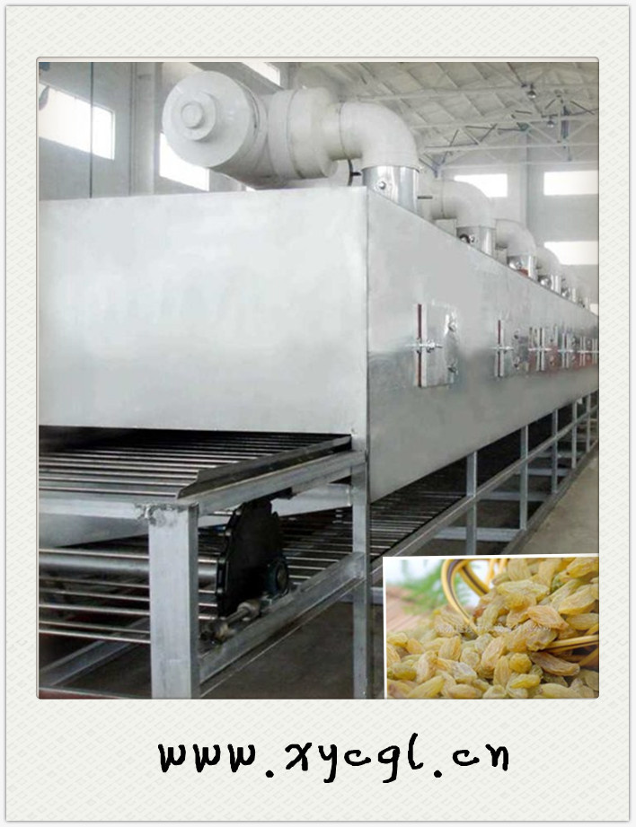 Drying Fruit Machine for Grape