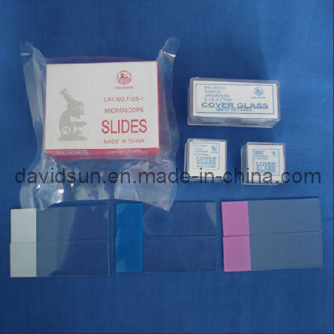 Microscope Slide