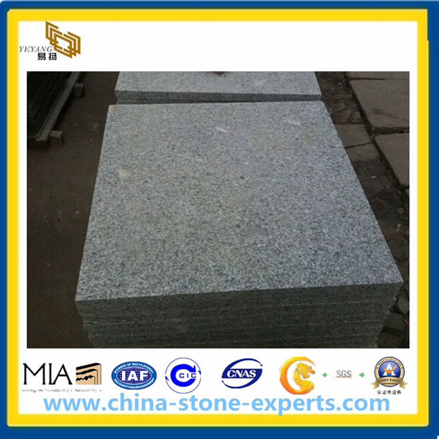 G341 Granite Tiles, China Grey Granite (YQA-GT1020)