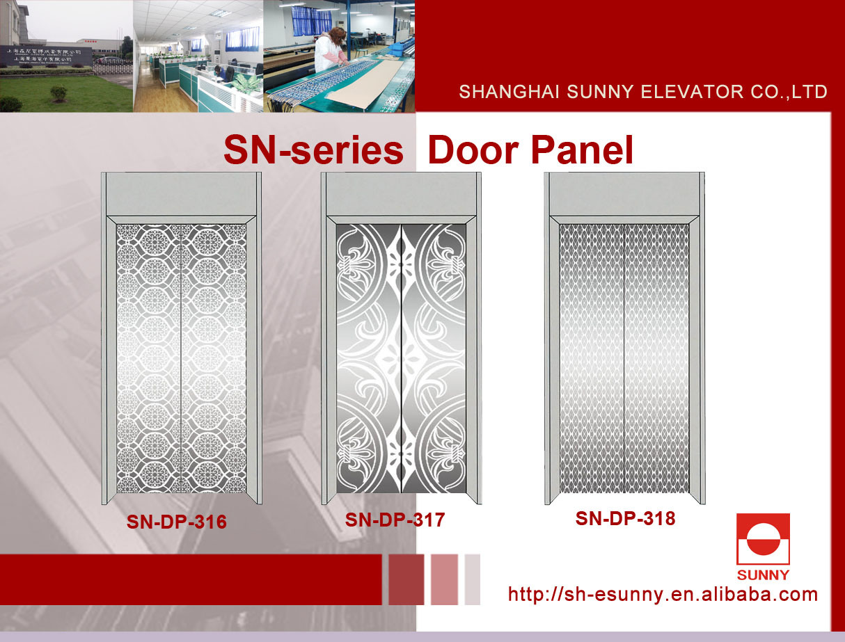 Elevator Door Panel with Reticular Pattern (SN-DP-316)