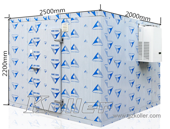 Small Capacity Chiller Room Made by Koller