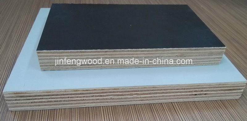High Quality Melamine Plywood/Melamine MDF/Melamine Blockboard