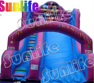 Inflatable Arch Slide, Colorful Slide, Water Slide