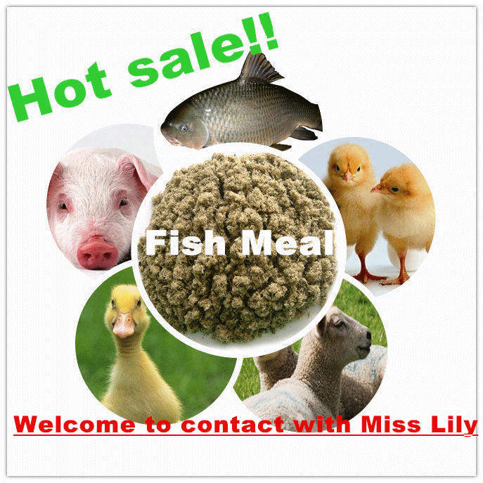 Fish Meal with Lowest Price for Animal Feed
