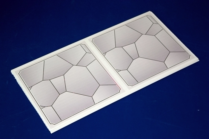 PVC Panel/Building Materials (BF-30-016)