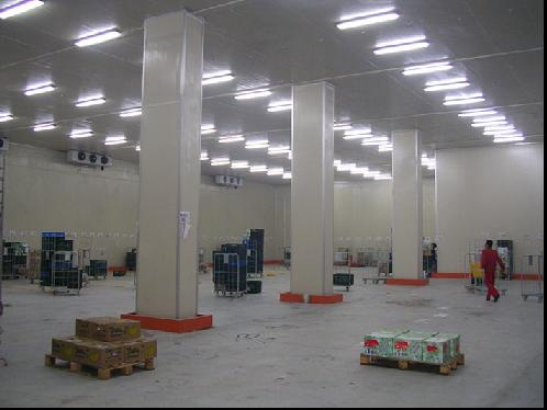 Cold Storage