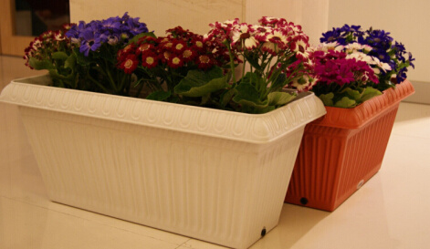 Balcony Plastic Rectangle Plant Flower Pot