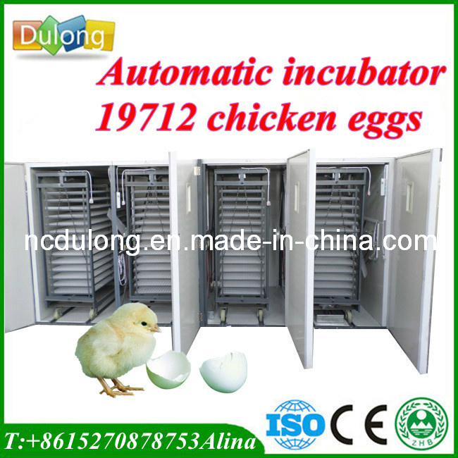 CE Approved Automatic Chicken Egg Incubator That Hold 19712 Eggs