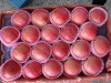 One Layer Blush Fresh Red Apple