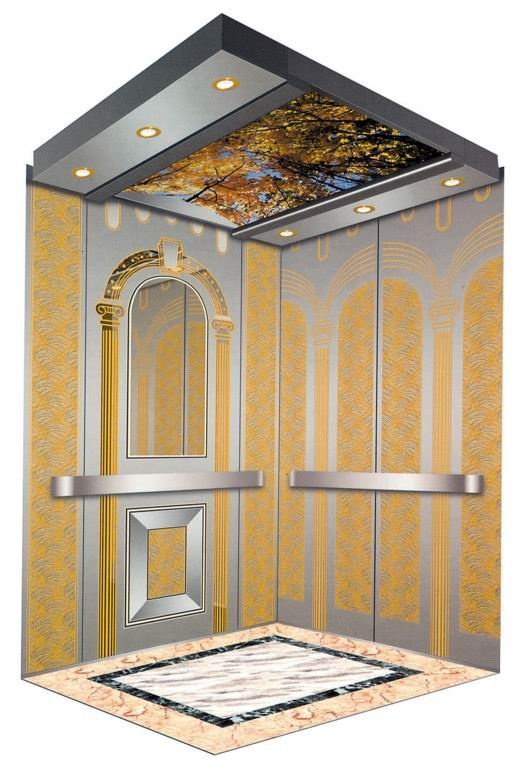 Passenger Elevator