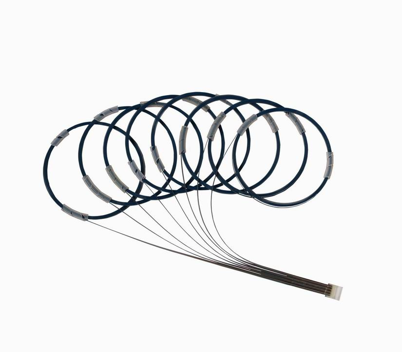 Fiber Array