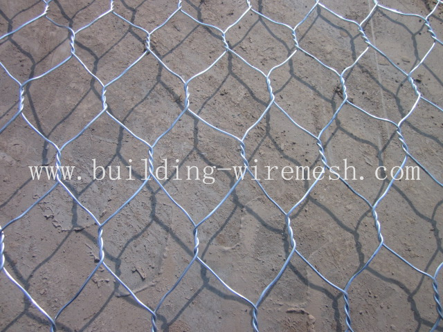 Galvanized Professional Hexagonal Wire Netting
