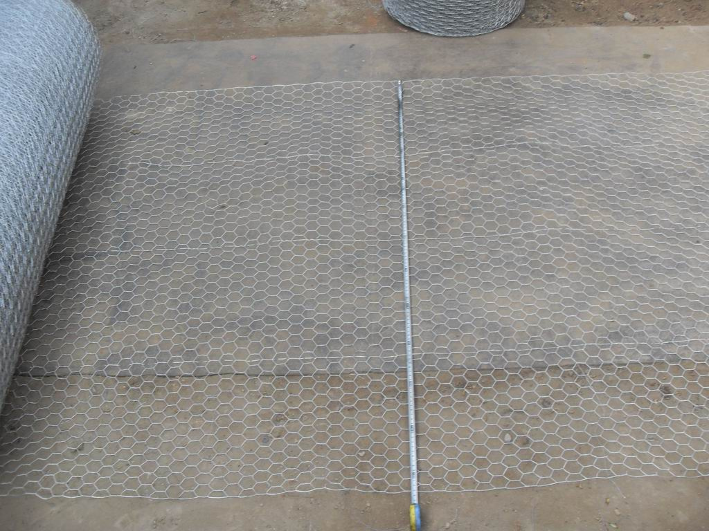 Galvanized Hexagonal Wire Mesh
