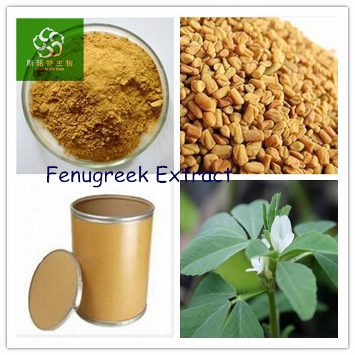 Fenugreek Extract, Fenugreek Extract Powder, Seed Semen Trigonellae