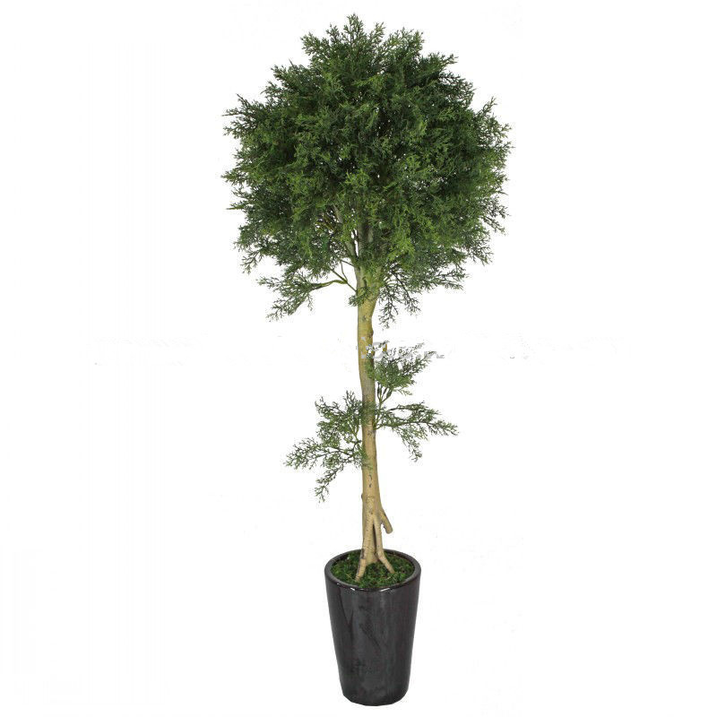 Strange Artificial Pine and Cypress Bonsai Tree (ISO9001)