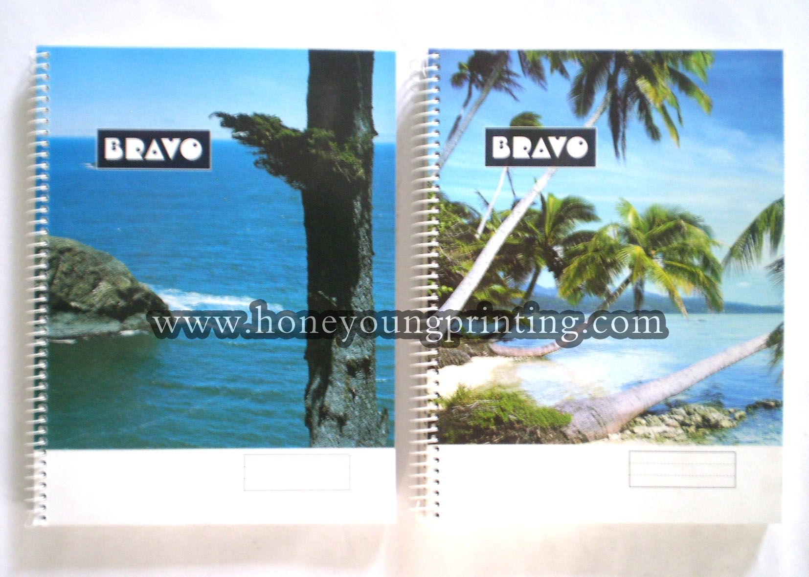 Spiral Notebook with Green Paper