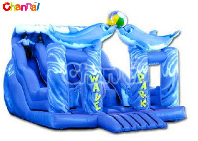Inflatable Slide/Dolphin Inflatable Slide for Sale Bb140
