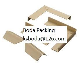 Paper Angle Protector