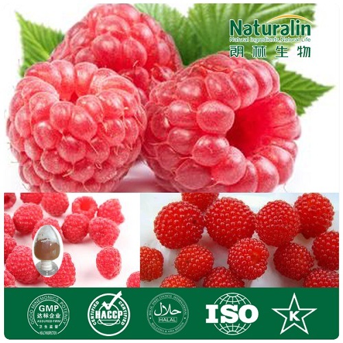 Red Raspberry Extract (Raspberry Seed Extract/Raspberry Leaf Extract)