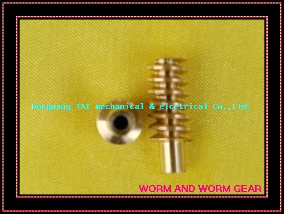 High Precision Brass Worm Gear
