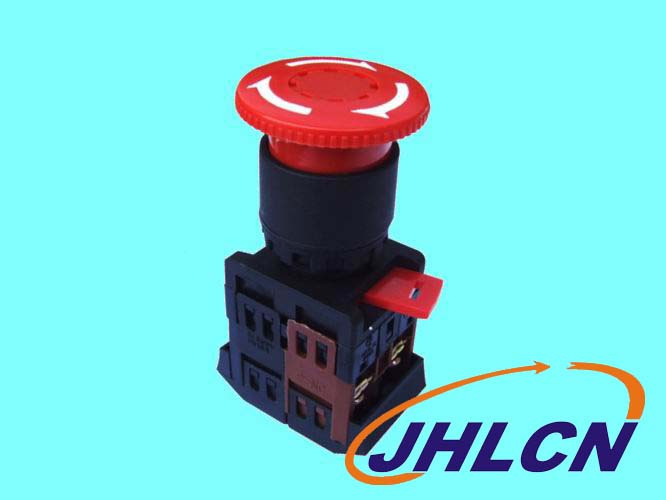 Push button Switch (JXB22E-11TS)