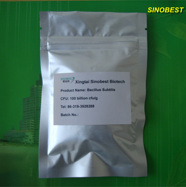Animal Feed Additive Poultry Feed Additive Bacillus Subtilis