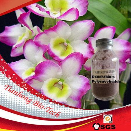 Dendrobium Polysaccharide for Health and Medical Proucts