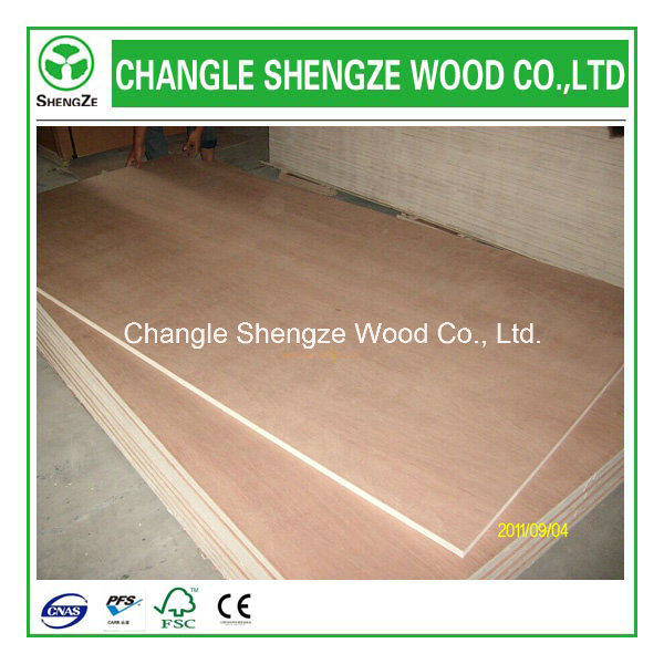 China Manufacturer Hot Sale Hardwood Core Plywood