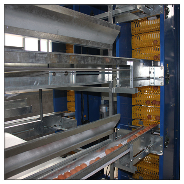 H Type Galvanized Chicken Layer Poultry Breeding Cages