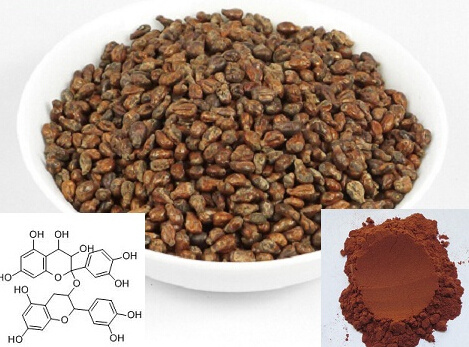 Grape Seed Extract 95% Proanthocyanidins