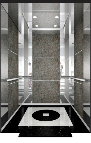 Stable Standard Passenger Elevator