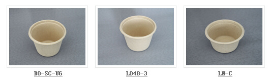Disposable Biodegradable Paper Pulp Tableware