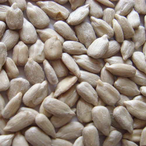Wholesale Sunflower Seed Kernel for Food