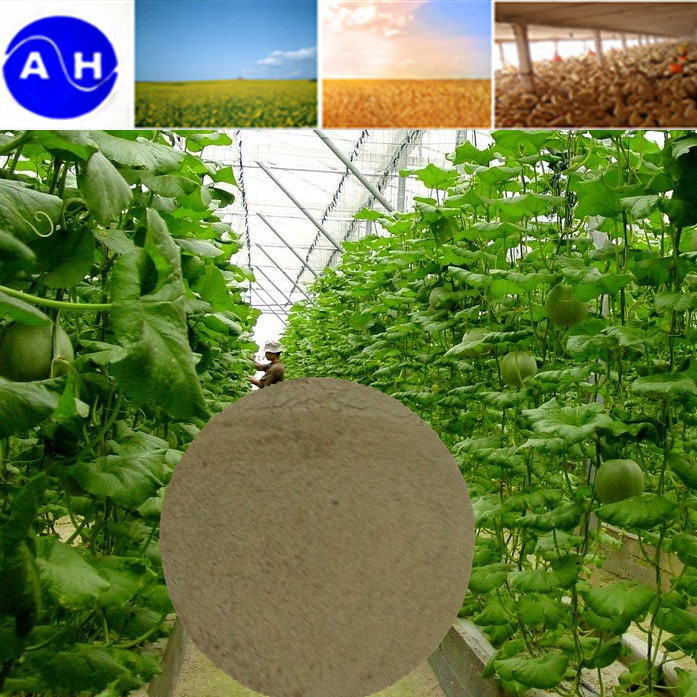 Magnesium Amino Acid Chelate Fertilizer Organic Agriculture
