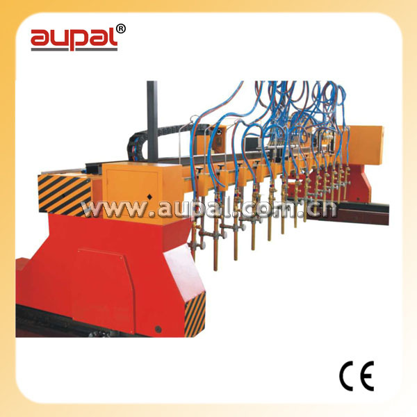 Multi-Head Strip Cutting Machine with CNC System