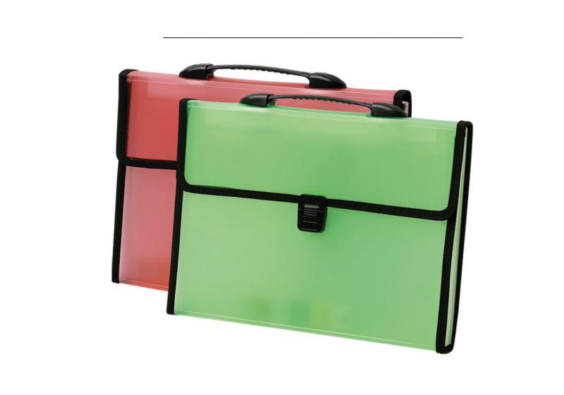 Pockets File with Tabbes for Checks